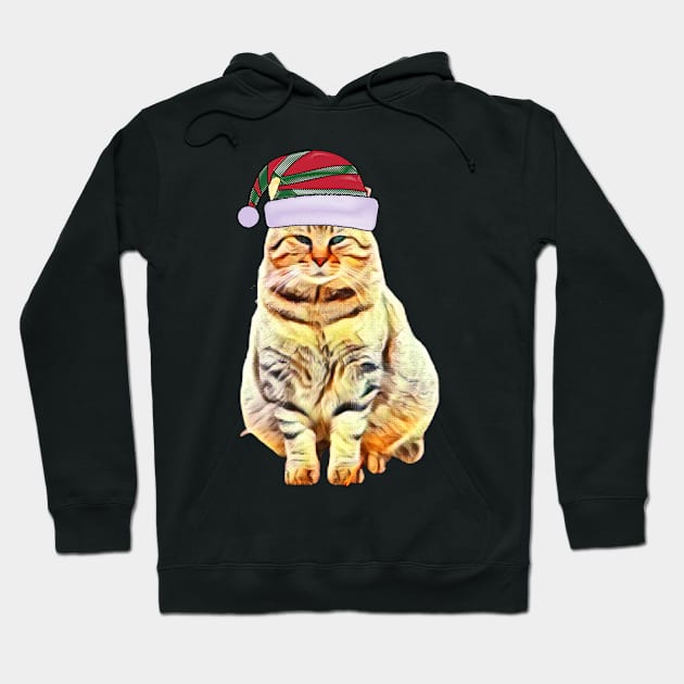 Merry Christmas 2021, Cat with a hat, Christmas gift Hoodie by BeatyinChaos